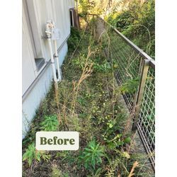 A様からのご依頼の画像1