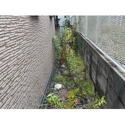 西宮市のお客様より草むしりのご依頼の画像1