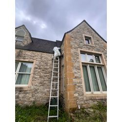 長崎県佐世保市　スズメバチ　駆除の画像1