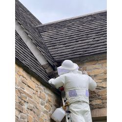 長崎県佐世保市　スズメバチ　駆除の画像2