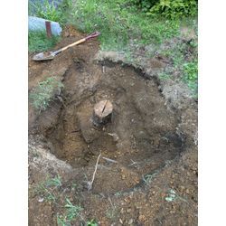 ひとの伐根を笑うなの画像2