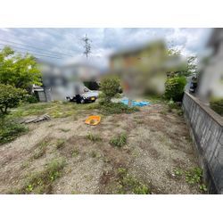 草むしり業務完了しました！の画像2