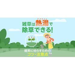 熱湯除草とは？の画像1