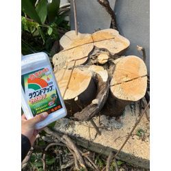 四日市市　伐採の画像3