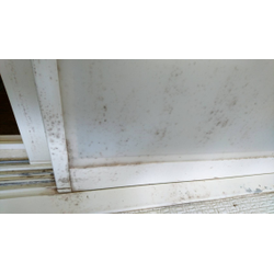 浴室清掃はこまめに！の画像1