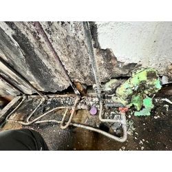 ネズミ対策　福岡県の画像1