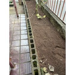 秋・冬の草むしりは実はとてもおすすめの時期です。の画像2