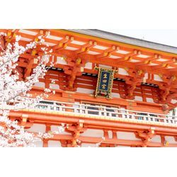 「ポーズ指示は“作る”だけじゃなく、自然な瞬間を引き出すために」の画像2