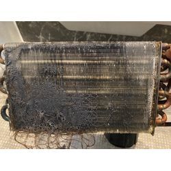 【堺市北区・船堂町】NA-LX113BLのドアパッキン汚れが気になる…3年目で内部はどうなっている？　クマッペの画像2