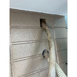 愛知県にてネズミ被害駆除防除対策を行いました。の画像2