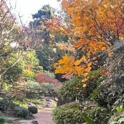 年末年始のお知らせ12／29ー1／5おやすみの画像2