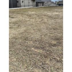 涼しくなってきてからの草刈り！の画像1