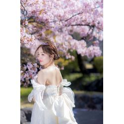 少しづつ春めいてまいりました。桜と一緒の撮影はいかがですか?の画像3