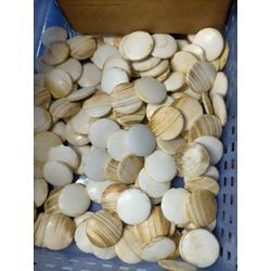 ついでにこまごましたものも回収もしていますの画像1