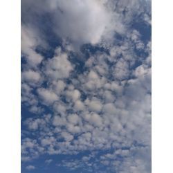秋が待ち遠しいですねの画像1