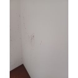壁紙再生の画像1