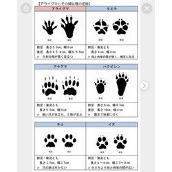 農家　佐賀　熊本　福岡　害獣　いちごの画像2