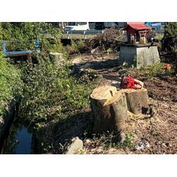 八代市　U社様ご依頼　不動産様敷地　伐採③の画像3