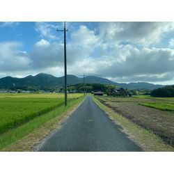 夏も好きだけど……の画像1