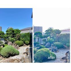 11年の経験×匠の技！庭木剪定で和の美しさが蘇るプロの手仕事の画像2