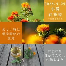 ー小満中候紅花栄べにばなさかう5/25ーの画像1