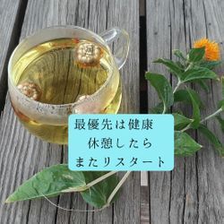 ー小満中候紅花栄べにばなさかう5/25ーの画像3