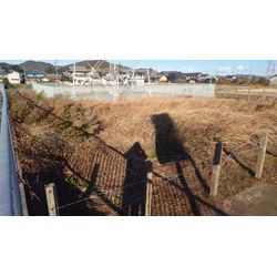 ひろーい土地の草刈処分の画像1