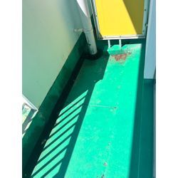 ハト　佐賀市の画像3