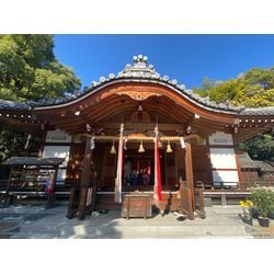 七五三 古志部神社の画像1