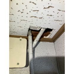 大阪府大阪市にてネズミ・イタチ被害駆除防除対策を行いました。の画像3
