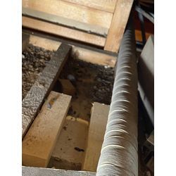 ネズミ被害  アライグ ハクビシン被害  コウモリ被害などの写真です！の画像1