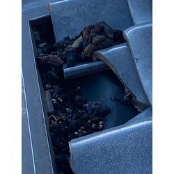 ネズミ被害  アライグ ハクビシン被害  コウモリ被害などの写真です！の画像3