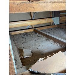 ネズミ被害  アライグ ハクビシン被害  コウモリ被害などの写真です！の画像2