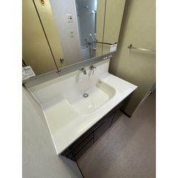 洗面台塗装チャレンジの画像2