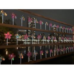 🌸上野公園でお花見🌸の画像3