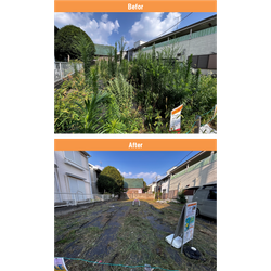 【世田谷区】売り出し宅地の除草作業　2025年7月7日の画像1