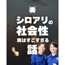 【シロアリの社会性、実はすごすぎる話】の画像1