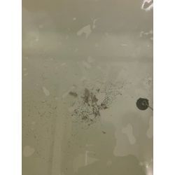 【風呂釜洗浄】の画像1