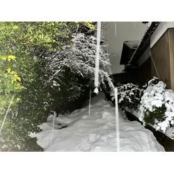 2026年2月の大雪🌨️の画像2