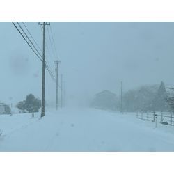 2026年2月の大雪🌨️の画像1