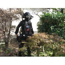 広島県広島市佐伯区で剪定中| 広島県山口県で庭木の剪定は塩田剪庭園の画像1