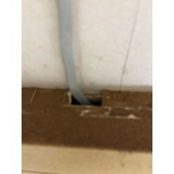 八王子市ネズミ駆除の画像1