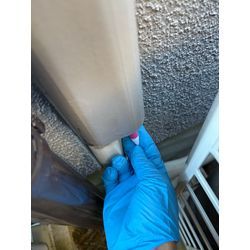 流山市ネズミ駆除の画像1