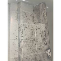 【カビ取りもバッチリです👌】の画像1