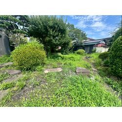 除草作業をさせて頂きました！の画像1