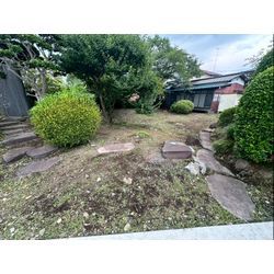 除草作業をさせて頂きました！の画像2