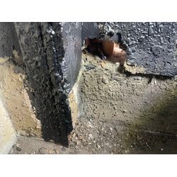 神奈川ネズミの画像1