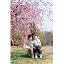 【京都の公園で撮影させていただいた家族写真】定期的にご依頼いただいている家族写真！今年も残せました！の画像1