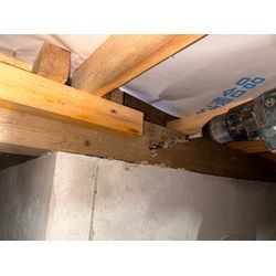 シロアリ駆除の画像1