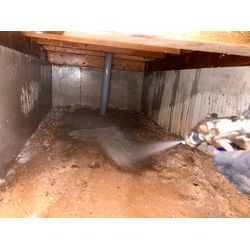 シロアリ駆除の画像3